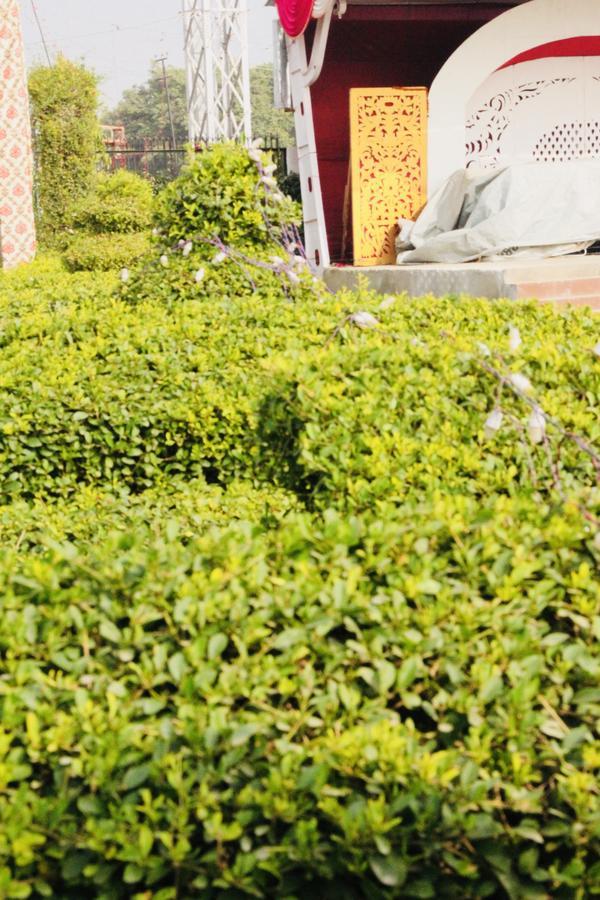 Vinayak Palace Hotel Mathura Esterno foto